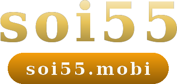 soi55 logo